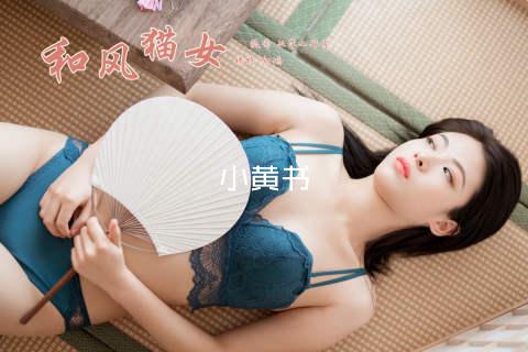 小黄书